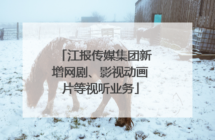 江报传媒集团新增网剧、影视动画片等视听业务